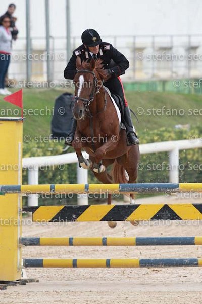 FEDELI_NIRUANA_GIO CAV 2011_SS3_8146.jpg